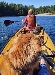 Kayak, Canoe, Paddle Board Rentals-Lake Scugog - Photo 4