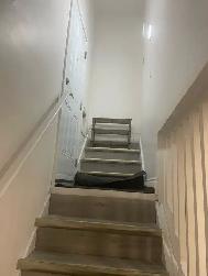 Room for sublet till Sep 2026 in Hamilton in Girls only house - Photo 3