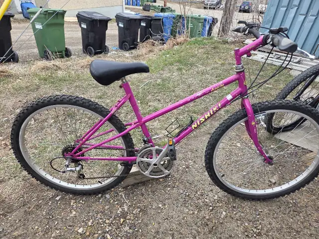 ladies nishiki apache mountain bike