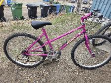ladies nishiki apache mountain bike