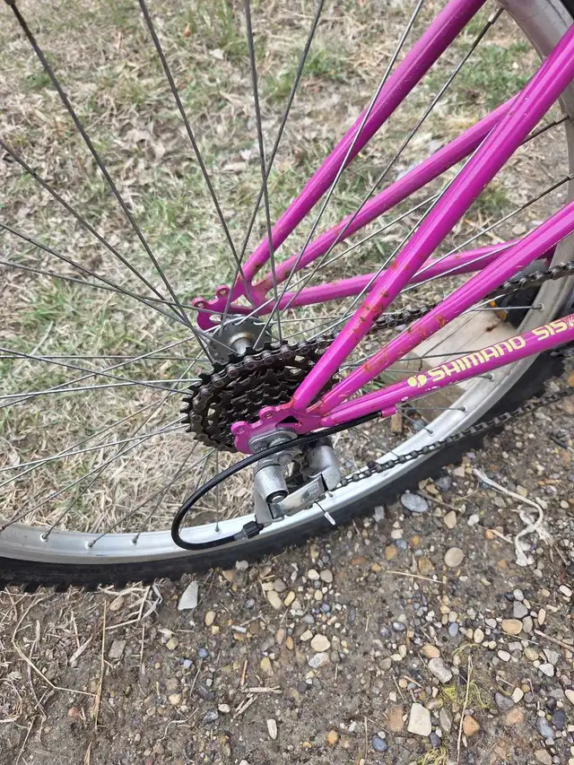 ladies nishiki apache mountain bike - Photo 2