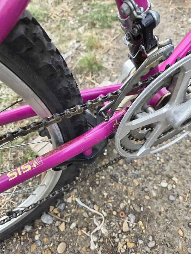 ladies nishiki apache mountain bike - Photo 3
