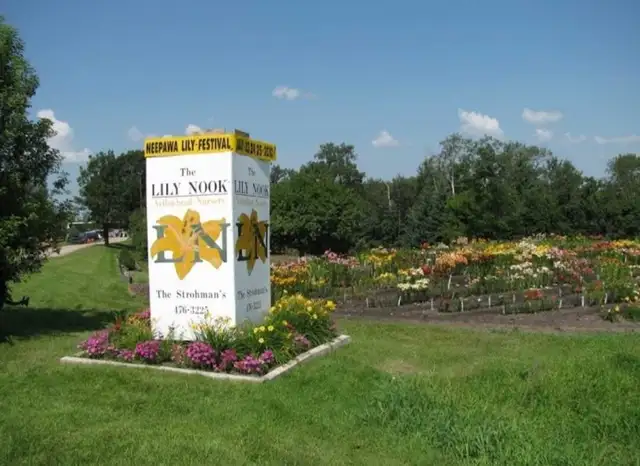 Mail Order Perennial Business for SALE