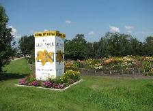 Mail Order Perennial Business for SALE