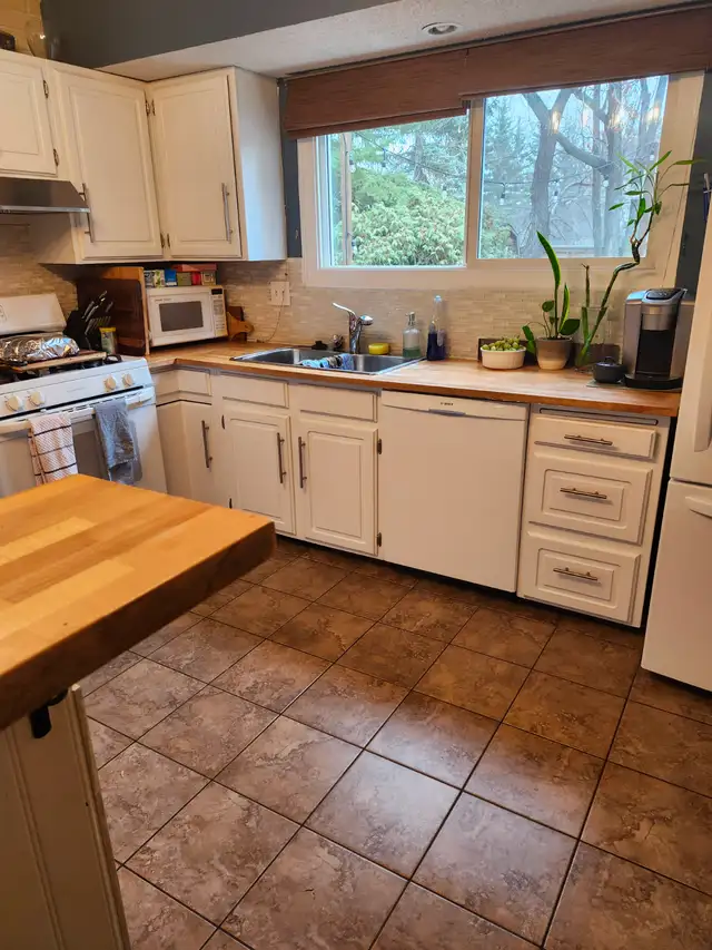 Professional/reliable house cleaner for hire $30/hour. - Photo 5