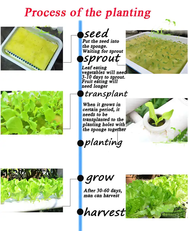 Wall-Mounted PVC Hydroponics Growing Kit 54 Plant Sites 141124 - Photo 9