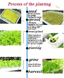 Wall-Mounted PVC Hydroponics Growing Kit 54 Plant Sites 141124 - Photo 9