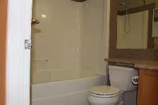 Spacious 3 Bed, 2.5 Bath Home in Terwillegar Towne - Photo 5