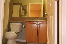 Spacious 3 Bed, 2.5 Bath Home in Terwillegar Towne - Photo 6