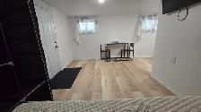 Brand New Studio Apartment for Rent - Photo 5