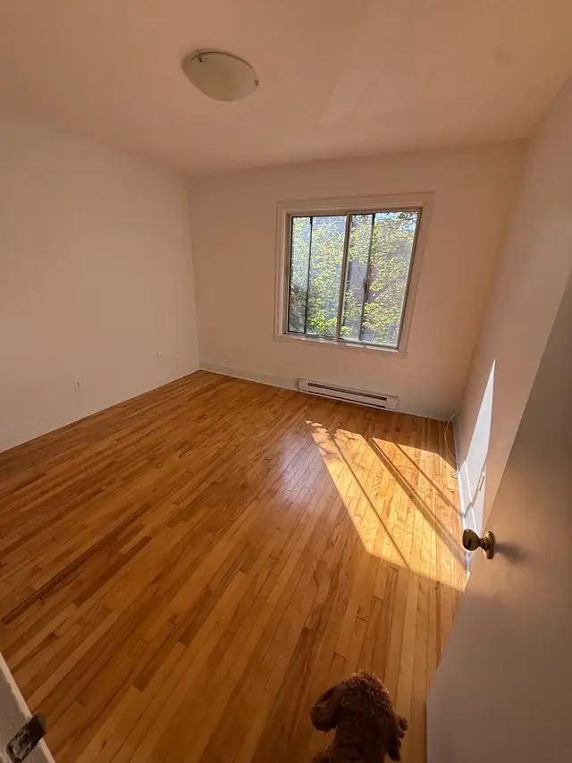 4 1/2 Rosemont La Petit Patrie - Photo 5