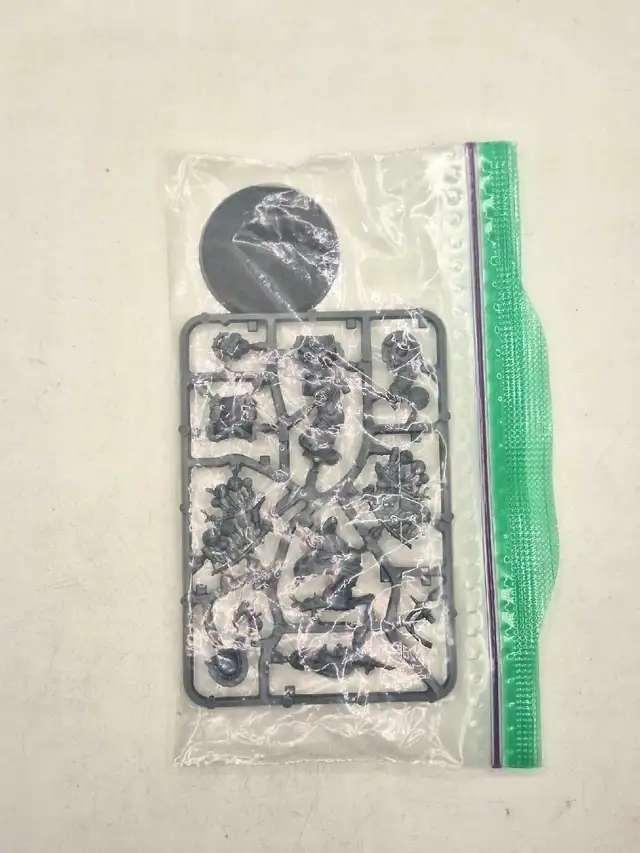 Warhammer 40k Deathguard NoS Biologus Putrifier