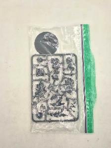 Warhammer 40k Deathguard NoS Biologus Putrifier