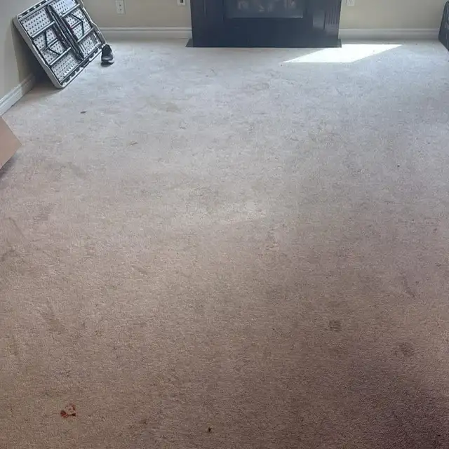 carpet cleaning - Photo 2