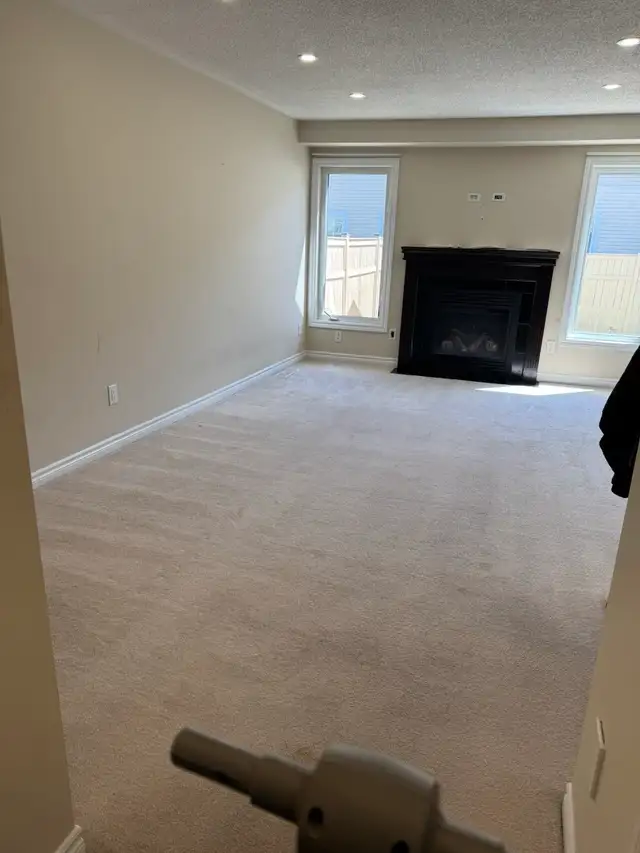 carpet cleaning - Photo 3