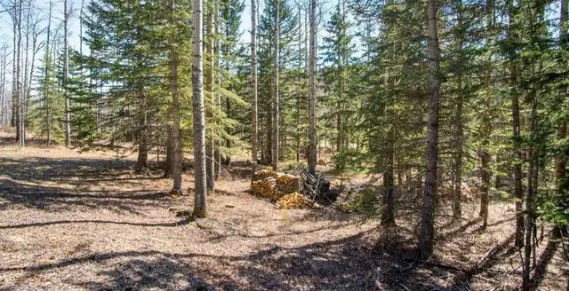 Mountain Tree Service - Photo 5