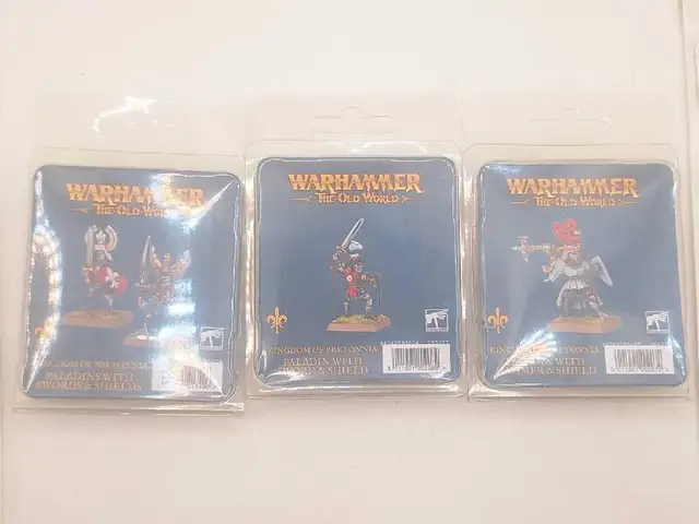 Warhammer Oldworld Kingdom of Bretonnia Paladin Blisters