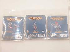 Warhammer Oldworld Kingdom of Bretonnia Paladin Blisters