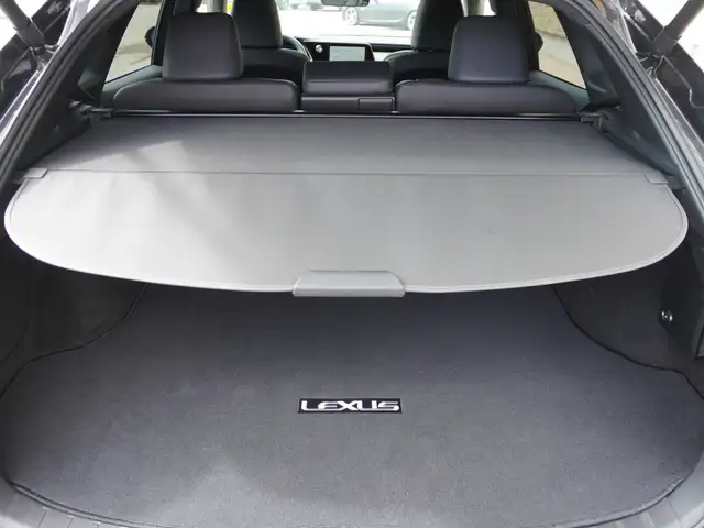 2023 Lexus RX RX 350h AWD - LUXURY HYBRID / SPOTLESS! - Photo 46