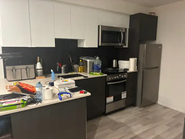 Lease Transfer – $1300 Effective Rent – 1BR near Vendôme – July - Photo 3