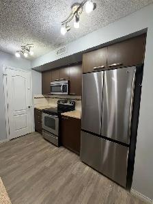 Apartment Condominium For Rent - Photo 10