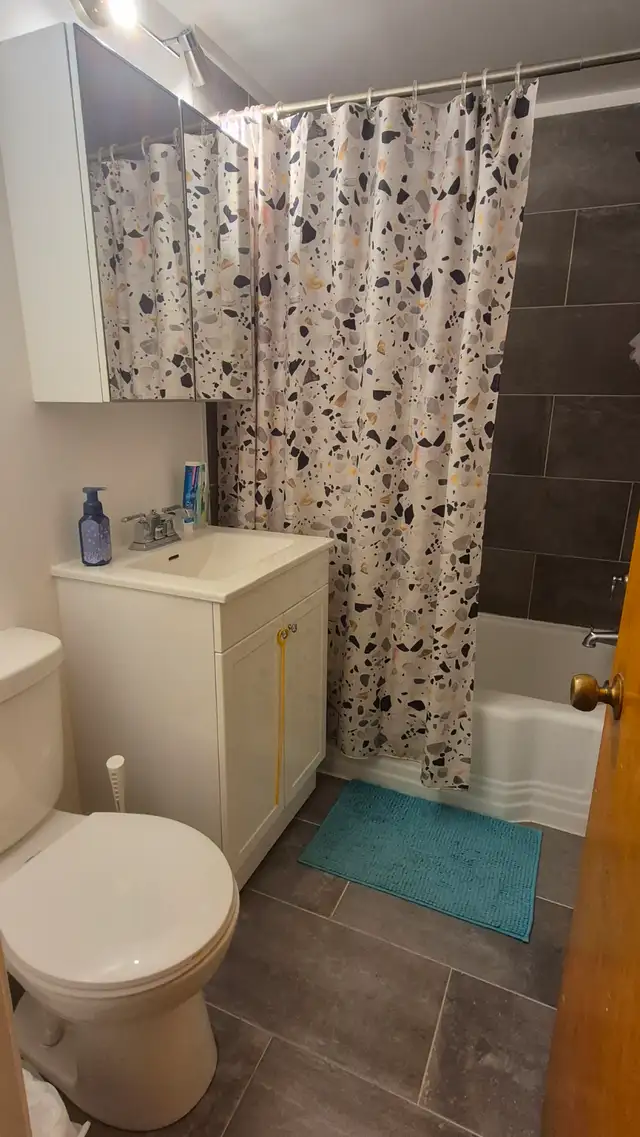 3 1/2 à louer à Rosemont - Photo 10