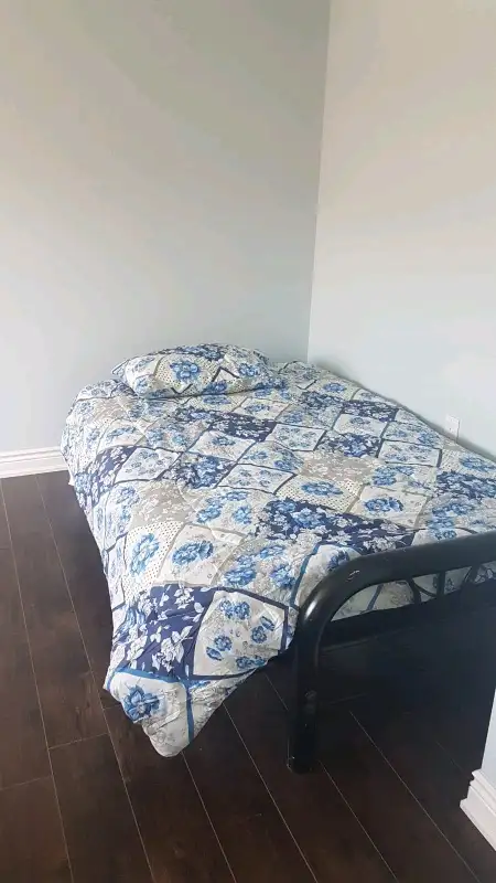 walk out Basement available in Cambridge - Photo 6