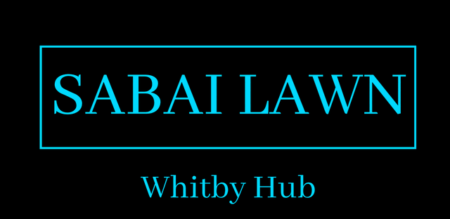 Be your own PT Driver for Lawn Care (Sabai FleX) - Photo 6