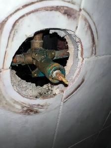 Shower Cartridges Moen&Delta Replaced