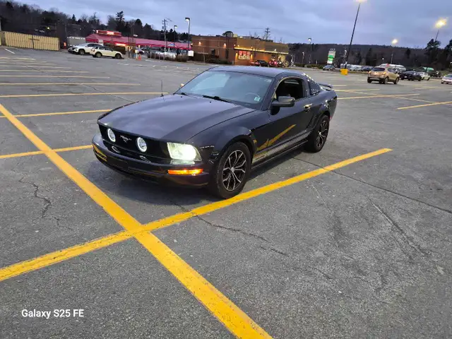 2005 ford mustang - Photo 4