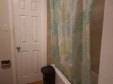One Room for rent in Waterloo (Nothing Included, Girl Only) - Photo 5