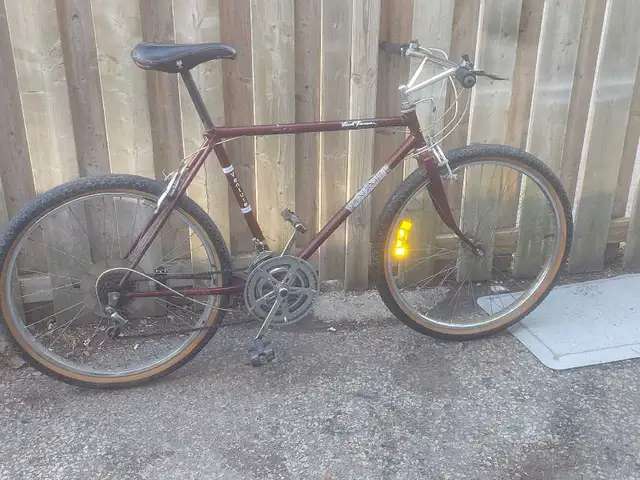 Mountain Tour Road Runner Bike for Sale - Photo 2