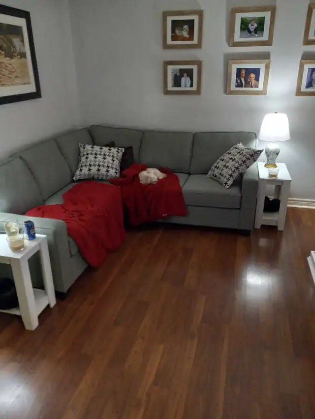 sawer sectional sofa - Photo 4