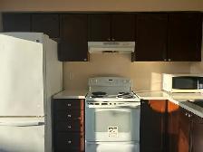 Best Deal! Very Bright Whole Townhouse Rent Only $2498 - Photo 3