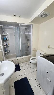 BASEMENT ROOMS FOR RENT NEAR UTSC AND CENTENNIAL COLLEGE - Photo 3