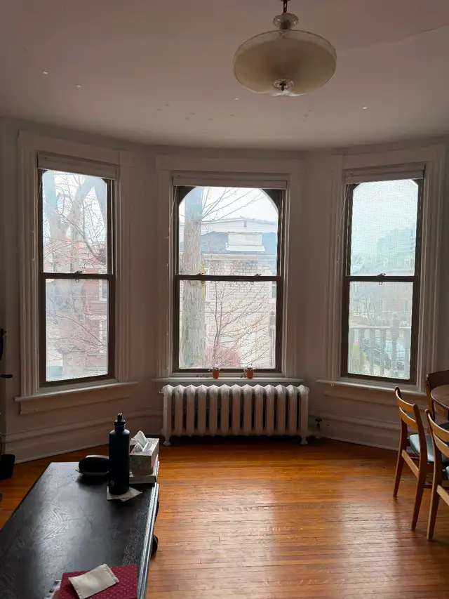 Large, bright one bedroom, downtown, June 1