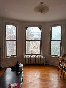 Large, bright one bedroom, downtown, June 1