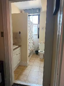 Large, bright one bedroom, downtown, June 1 - Photo 5