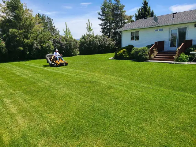 hardworking Labourer Seeking lawn mowing, lawn care work - Photo 2