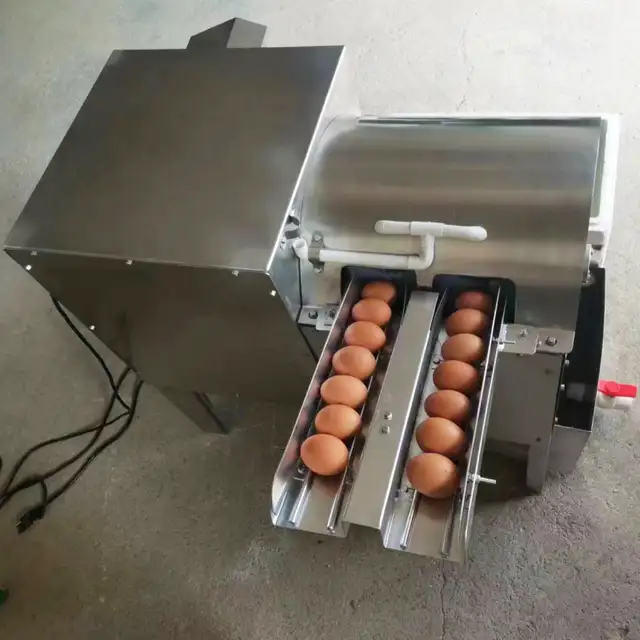 Automatic Chicken Duck Egg Washing Machine Double Row 028367 - Photo 9