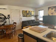 Lumineux condo 2 chambres (Pointe St-Charles. métro Charlevoix)