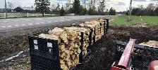 Firewood hardwood or softwood would delivery or pickup