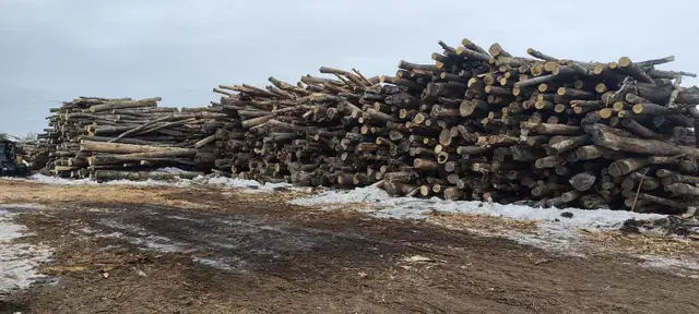 Firewood hardwood or softwood would delivery or pickup - Photo 2