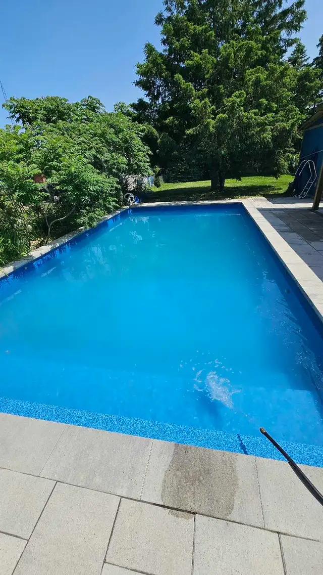 Pool Openings and Cleaning/Maintenance Service - Photo 9