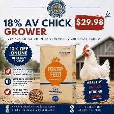 18 percent chicken grower