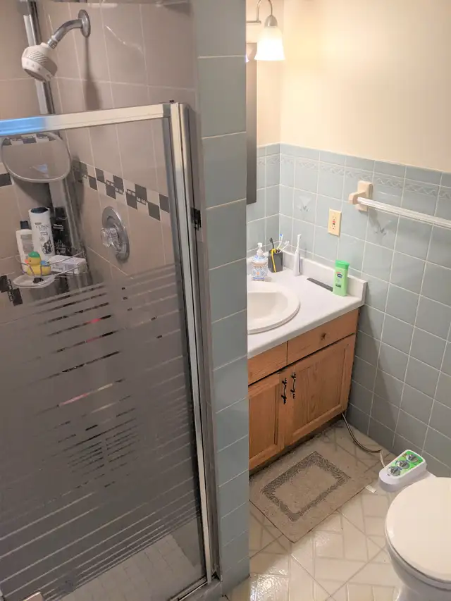 LARGE 1 BEDROOM DEN-LOWER APT-UTILITIES INCLUDED-WEST KITCHENER - Photo 5