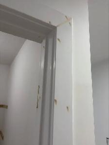 painter! - Photo 5