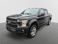 2019 Ford F-150 XLT XLT | 5.0L V8 | FX4 OFF Road |