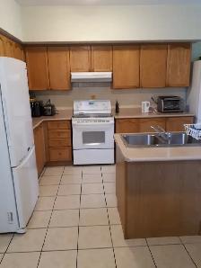 Room for Rent / North York / York Uni. Village - Photo 6