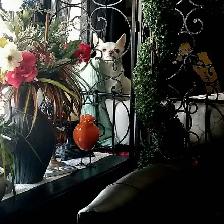 Reliable Long-Term Tenant Seeking Character 2-Bedroom Kitchener - Photo 2